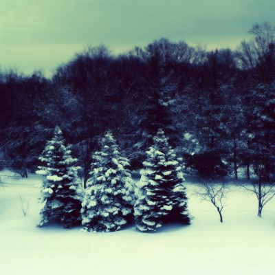 1920 x 1080 HD Wallpapers 2057